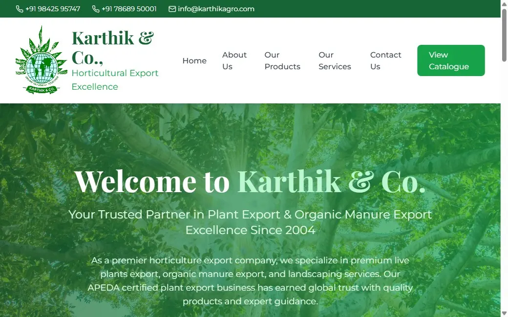 Karthik & Co. homepage, built by Velonix